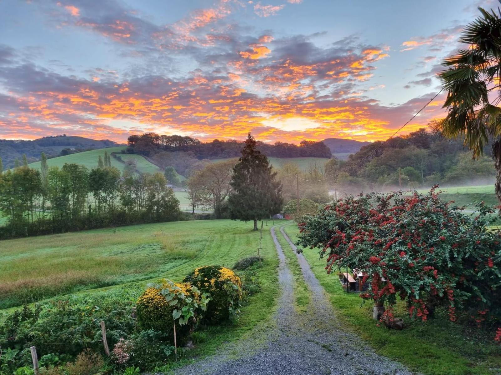 Chez Naty chambres d'hôtes au Pays-Basque Cheraute Extérieur photo
